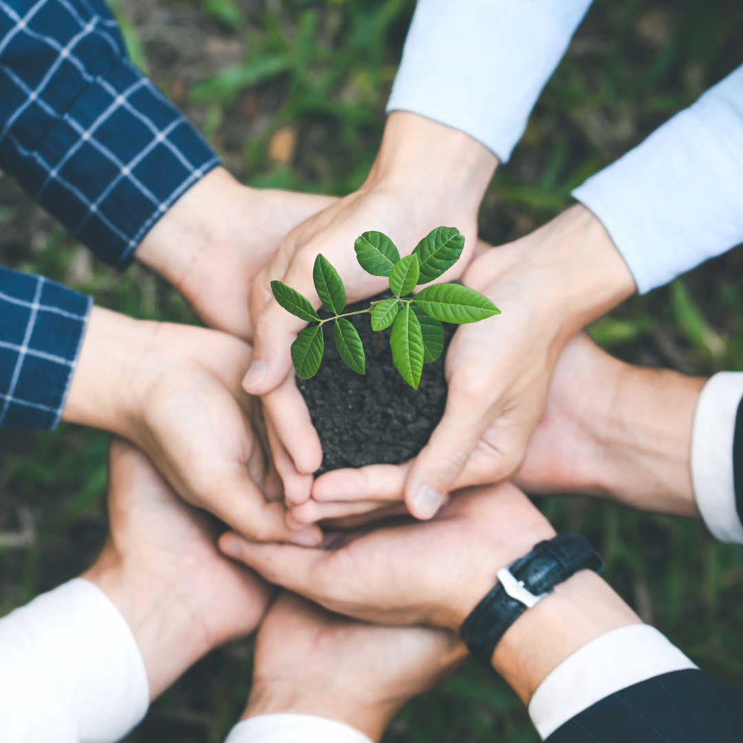 Navigating Tough Financial Years in Agribusiness with Digital Marketing: Sow the Seeds of Success!
