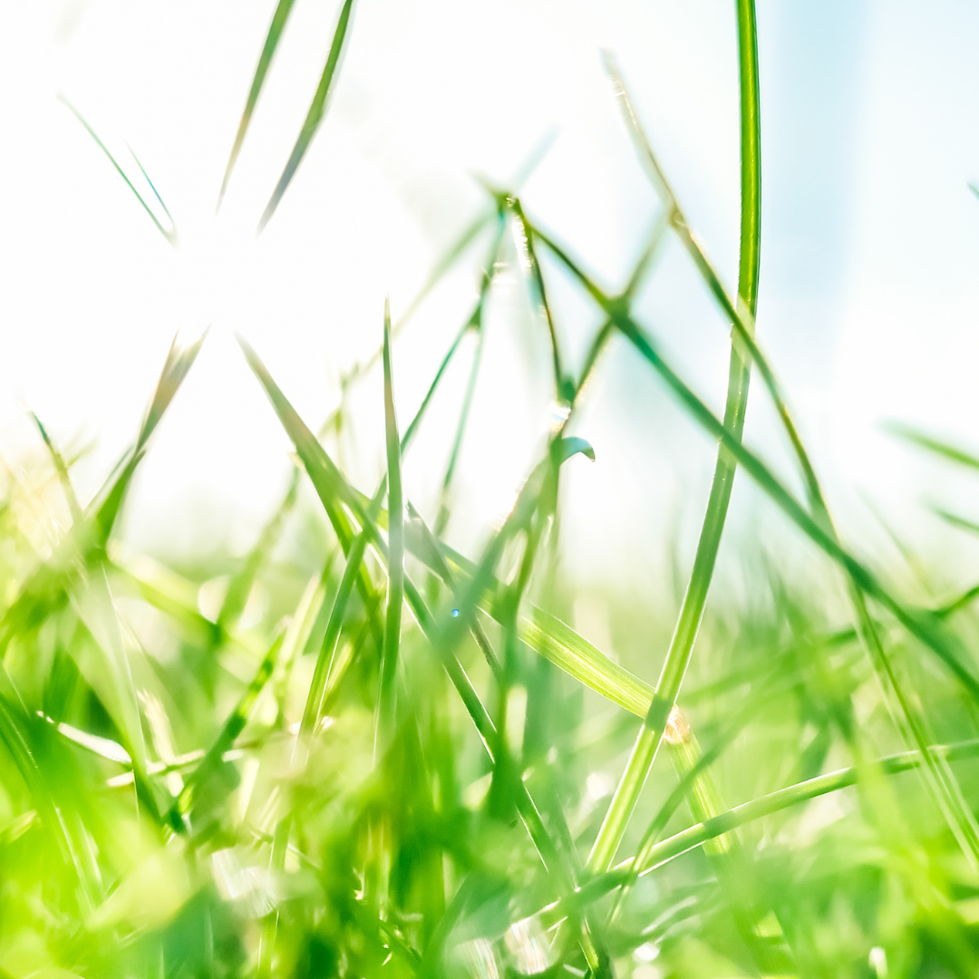 5 tips to maximise seo on your agribusiness website